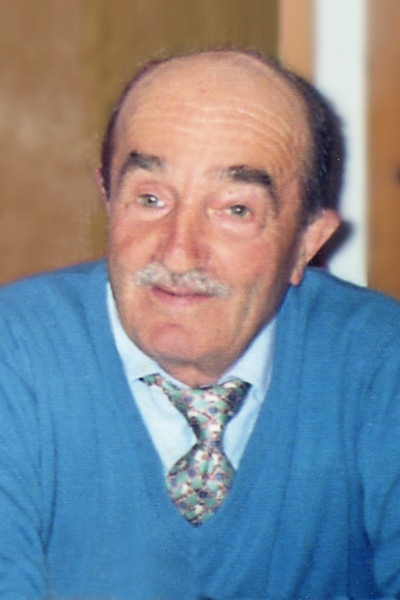 Domenico Casarotti