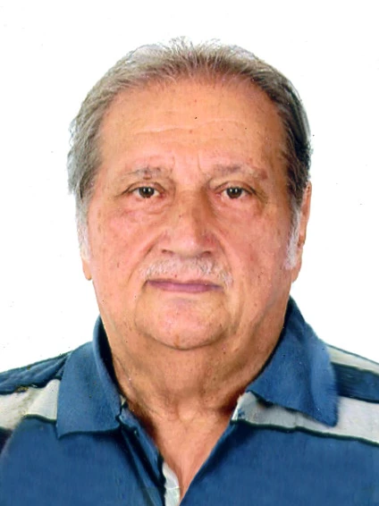 Guerino (rino) Domeneghini