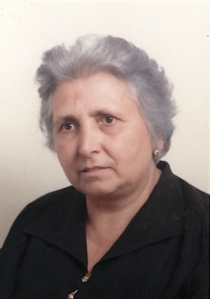 Vita  Venezia