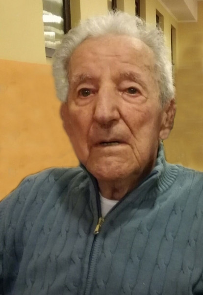 Luigi Canavesi