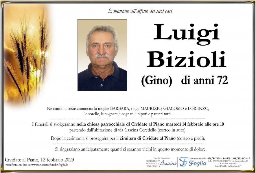 Luigi Domenico Bizioli