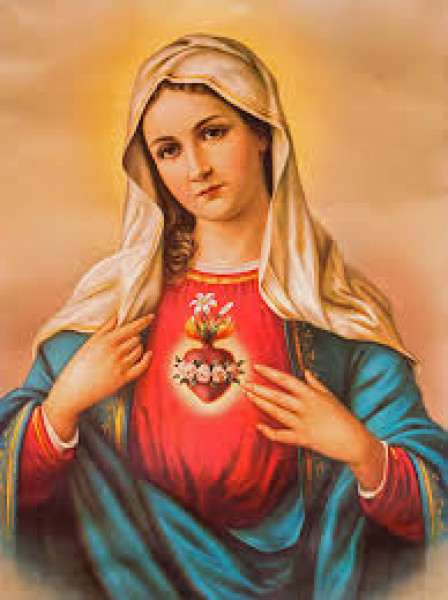Fausta Rotundo