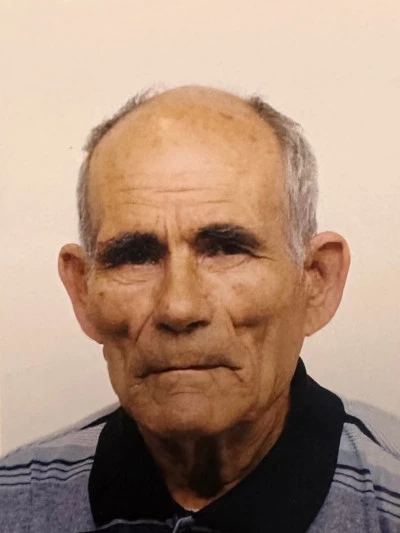 Domenico Bullegas
