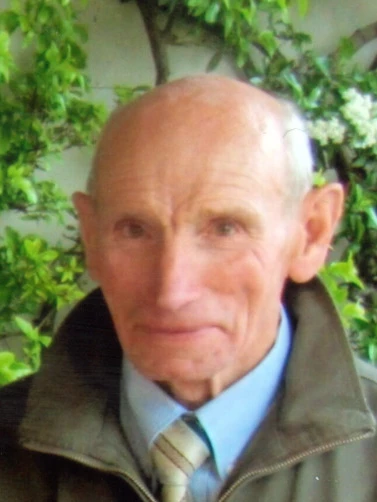 Adelmo Fanzini