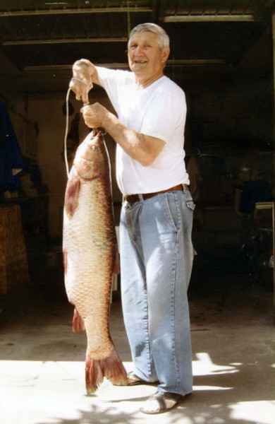 Elio Minghini