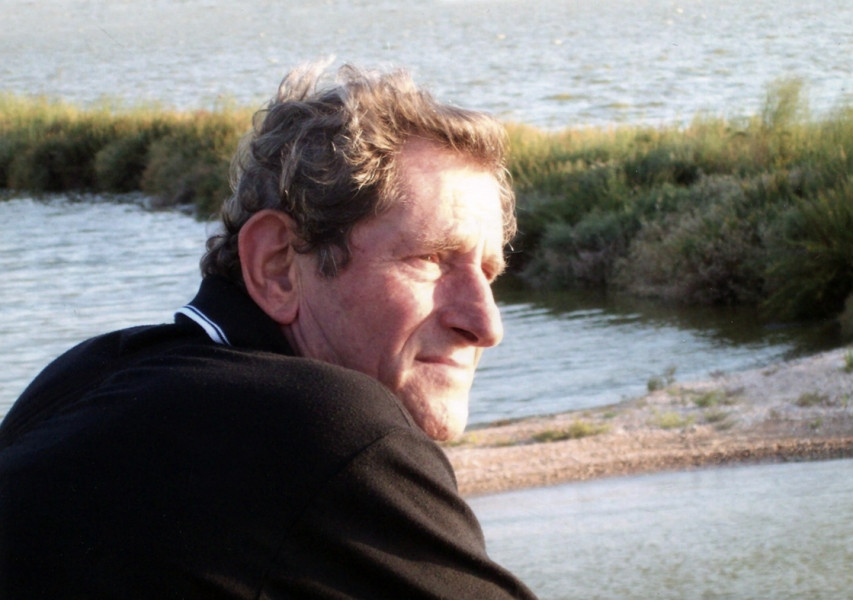 Enea Mari