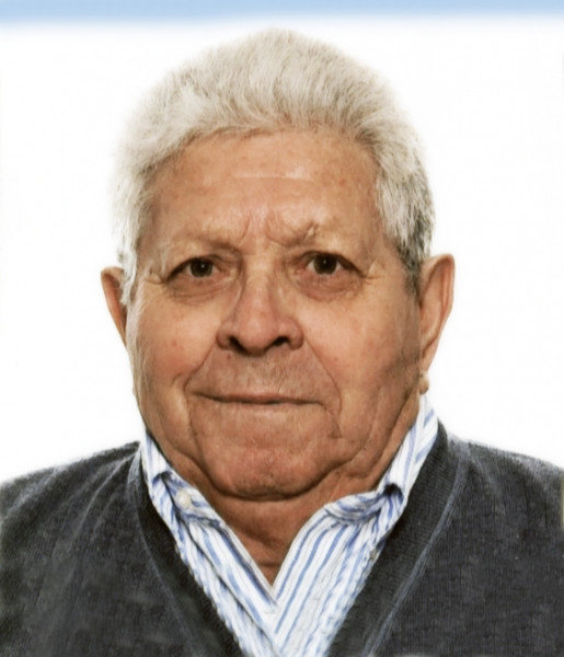 Flavio Brina