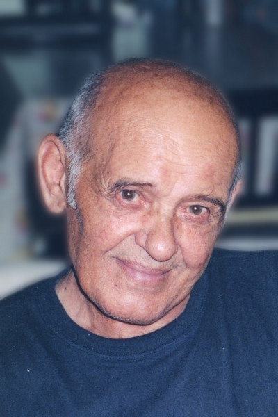 Cesare Vergani