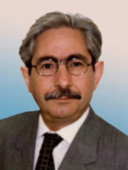 Maurizio  Melis