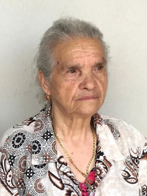 Maria Teresa  Lobina
