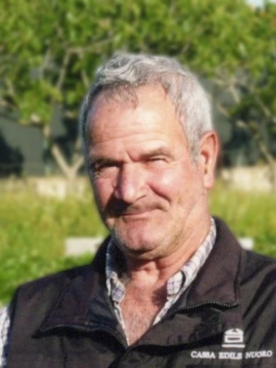 Mario Pischedda