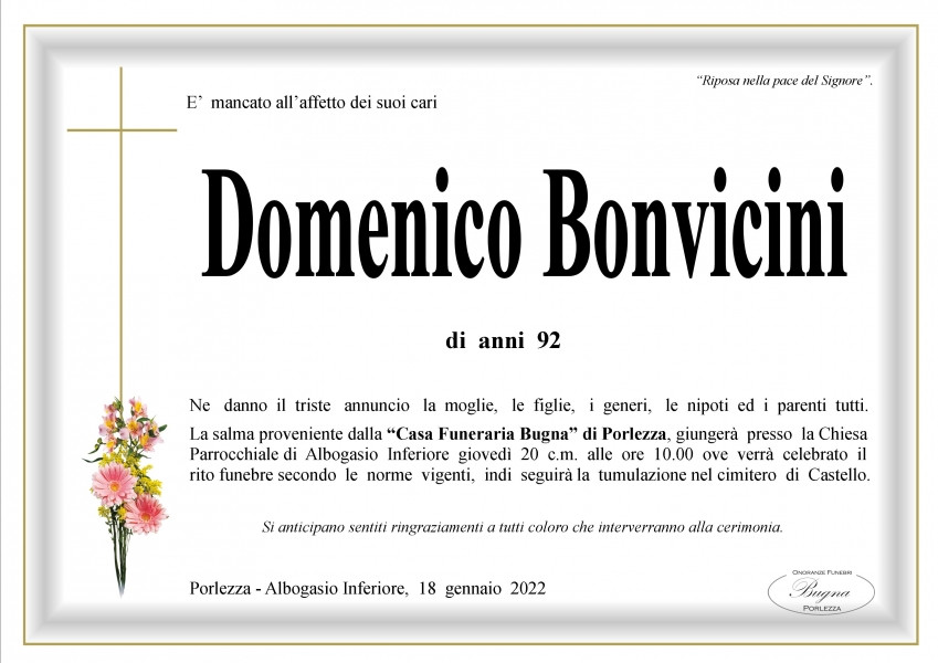 Domenico Bonvicini