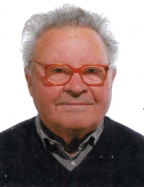 Domenico Pozzi