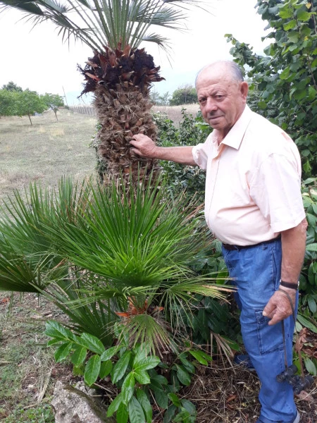 Carmine Nardiello