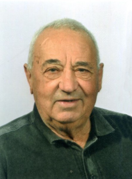 Luigi Luciano Agostinis