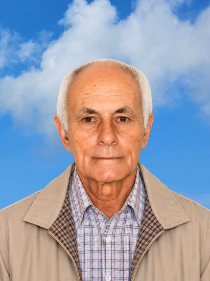 Domenico Cani