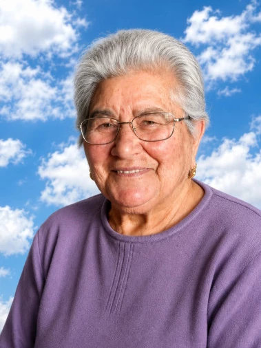 Gesuina Mei