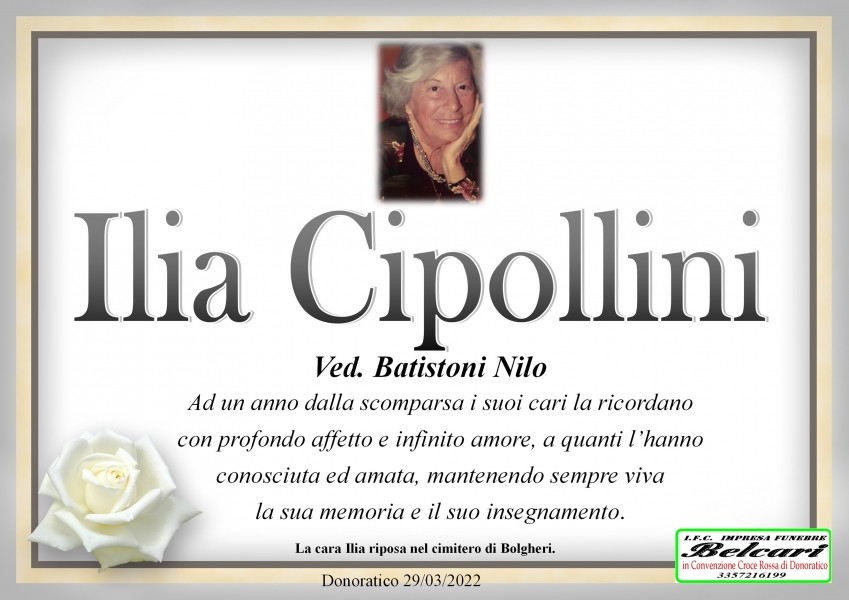 Ilia Cipollini Ricorrenza