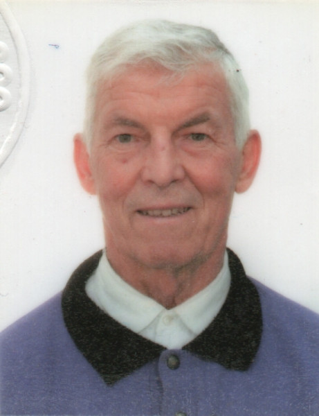 Amorino  Mauro