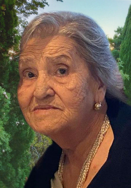 Rosa Carota