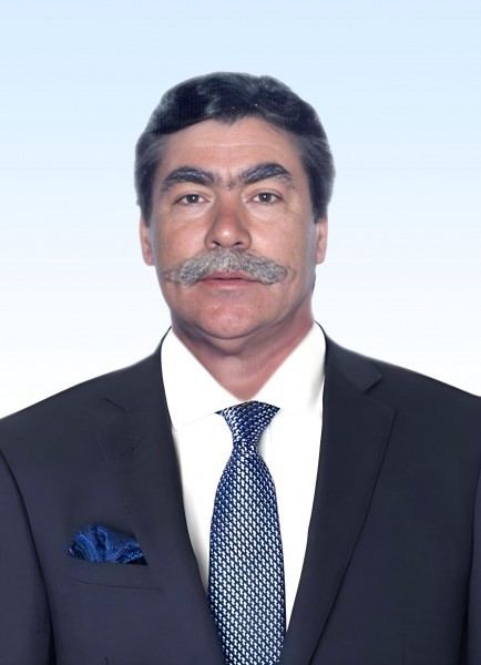 Michele D'Elia