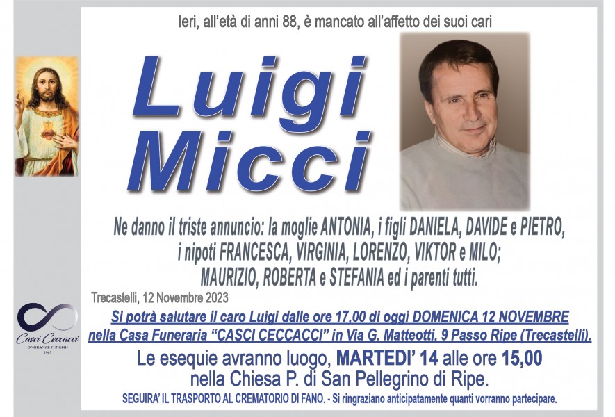 Luigi Micci
