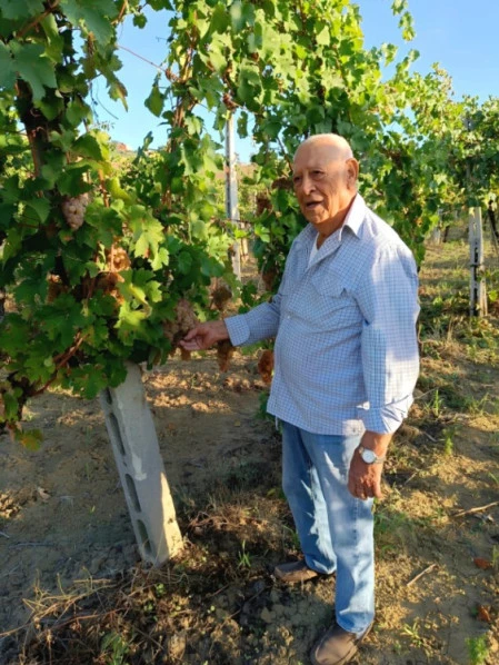 Argeo Bedini