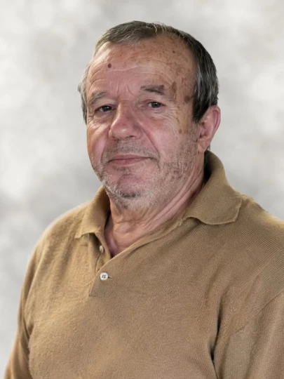 Domenico Di Stefano