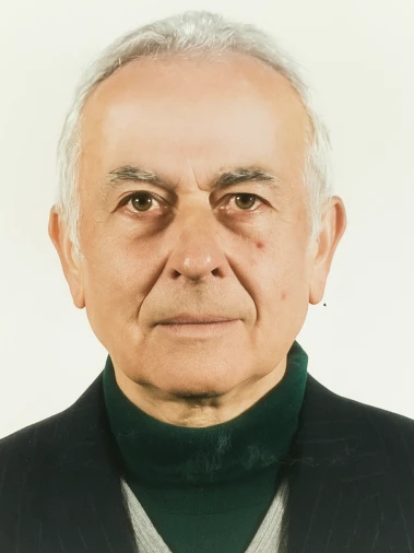 Dino Bergonzi