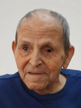 Sebastiano Vacca