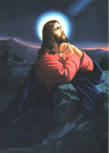 Giuseppe Spanedda