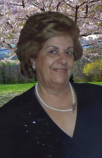 Rosa Cocco