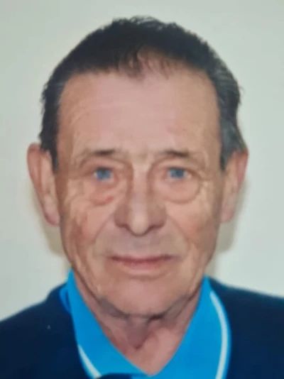 Giovanni Milesi