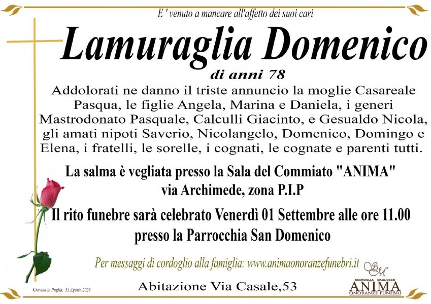Domenico Lamuraglia
