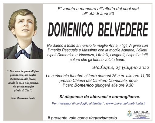 Domenico Belvedere