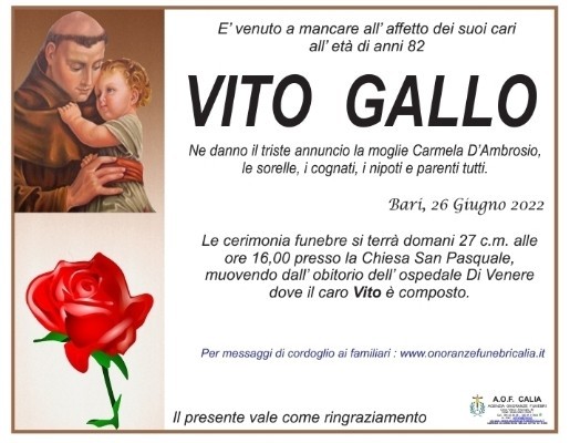 Vito Gallo