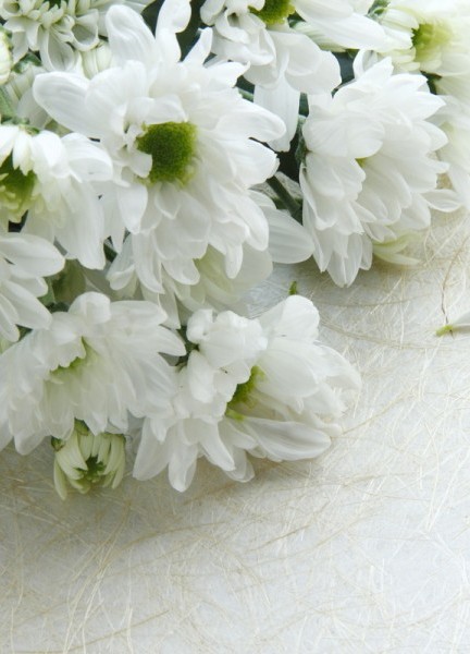 Giuseppa Camastra