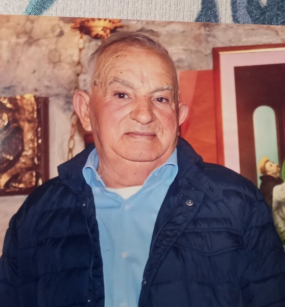 Nicola Losole
