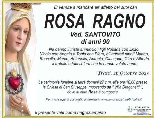 Rosa Ragno