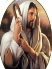 Giuseppe  Schingaro 