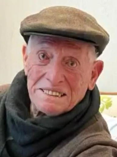 Vito Domenico Di Ciaula