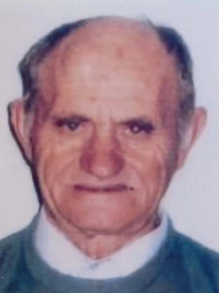 Vincenzo  Fallacara