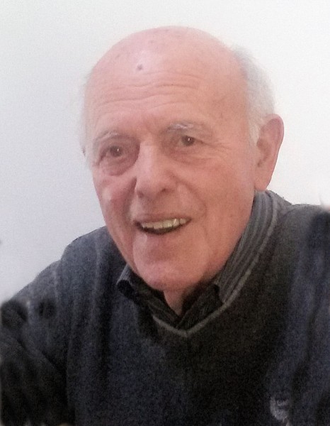 Enrico Zoccolan