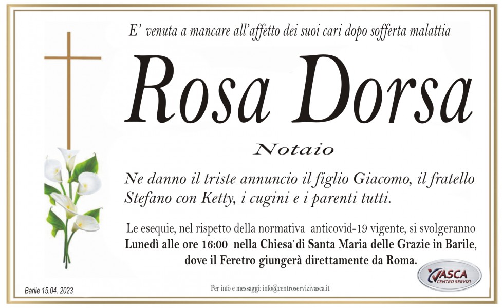 Rosa Dorsa