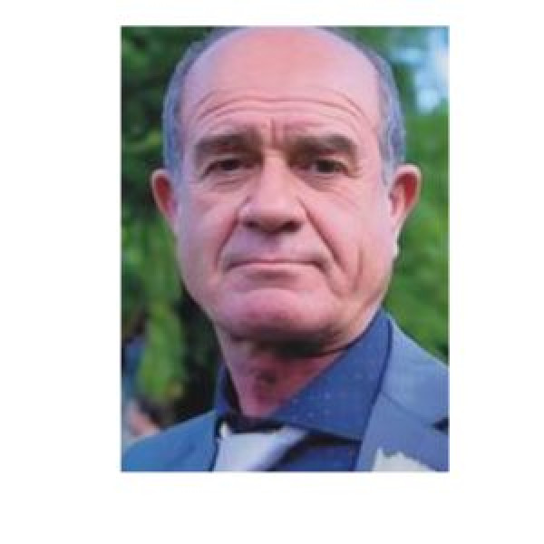 Domenico Natale