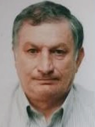 Prof. Luigi  Buonocore
