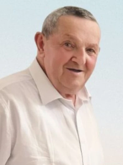 Emilio Domenico  Molfese
