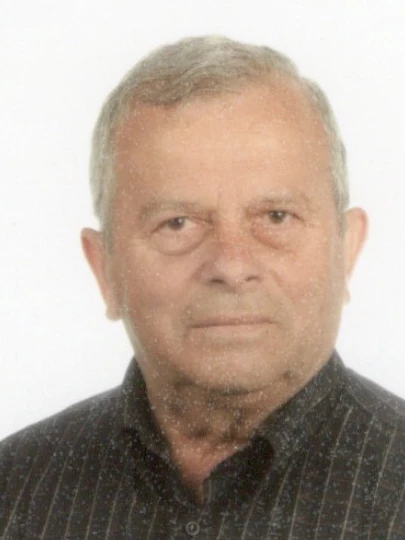 Fausto Bonzanini