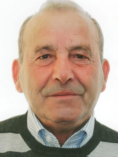 Raffaele  Salis