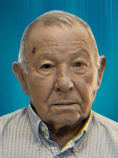 Angelo Melis